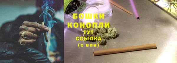 мет Нея