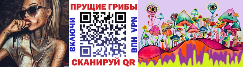 Псилоцибиновые грибы GOLDEN TEACHER Большой Камень