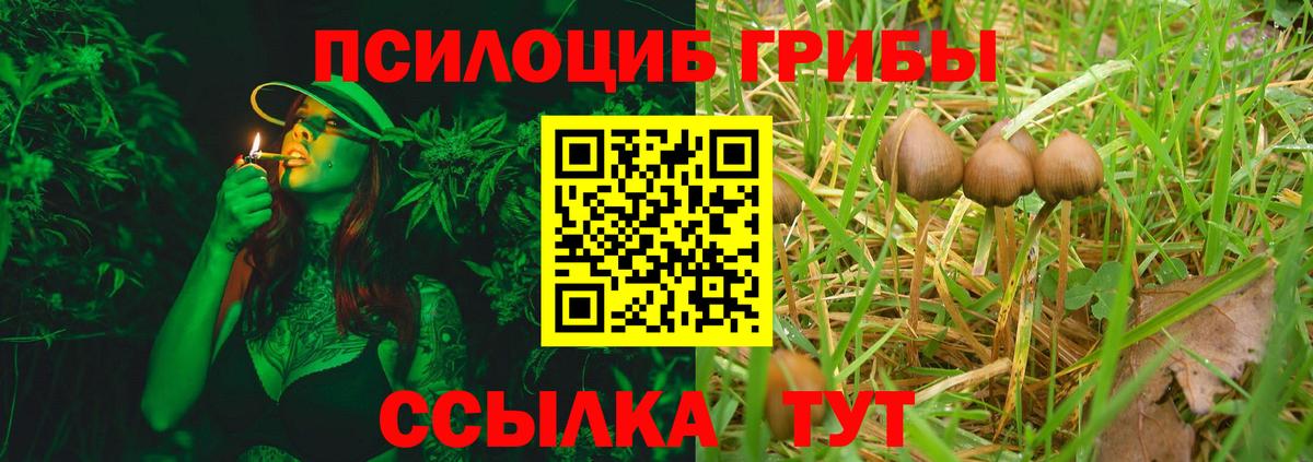 Галлюциногенные грибы мицелий  Большой Камень  Псилоцибиновые грибы MAGIC MUSHROOMS 