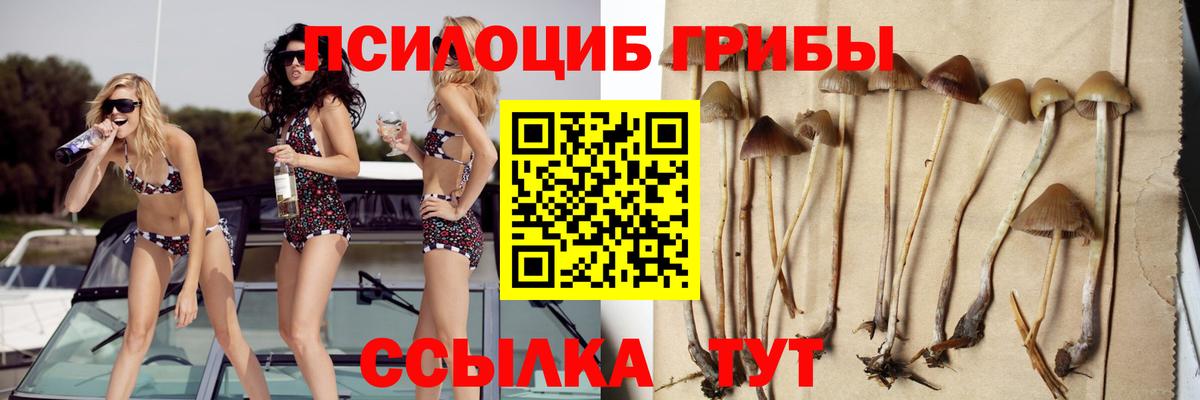 Псилоцибиновые грибы Cubensis  Псилоцибиновые грибы GOLDEN TEACHER  Большой Камень  Вход с VPN 